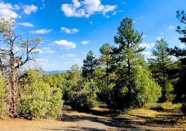 Photo 4 of Land for sale at 131 Retreat Ct, Pagosa Springs, CO 81147 | MLS# 5239395 | Listing updated on 2026-07-22