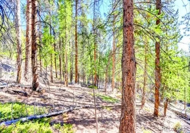 1st image of 2222 Swift Claim Rd, Georgetown, CO 80444 | MLS# 9490466