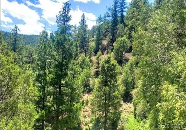 2nd image of 2222 Swift Claim Rd, Georgetown, CO 80444 | MLS# 9490466