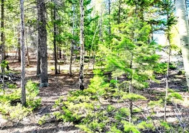 3rd image of 2222 Swift Claim Rd, Georgetown, CO 80444 | MLS# 9490466