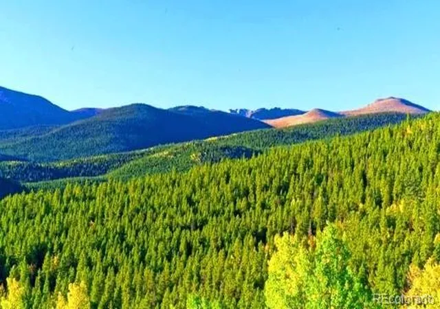 4th image of 2222 Swift Claim Rd, Georgetown, CO 80444 | MLS# 9490466