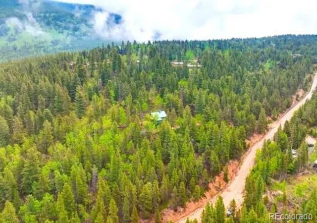 5th image of 2222 Swift Claim Rd, Georgetown, CO 80444 | MLS# 9490466