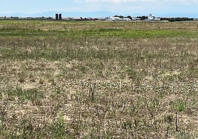 8th image of Manila, Watkins, CO 80137 | MLS# 2486547