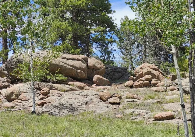 1st image of 501 Cr 403, Florissant, CO 80816 | MLS# 4150913