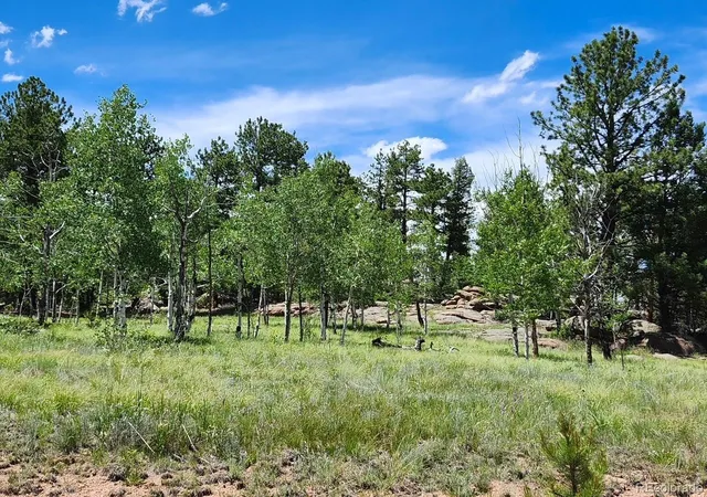 2nd image of 501 Cr 403, Florissant, CO 80816 | MLS# 4150913