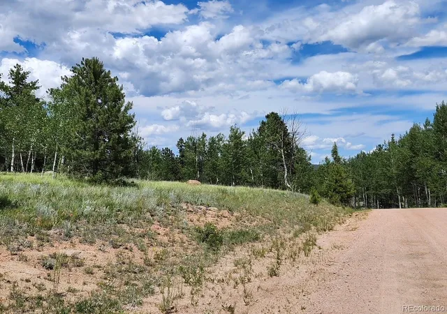 3rd image of 501 Cr-403, Florissant, CO 80816 | MLS# 4150913