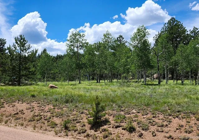 4th image of 501 Cr-403, Florissant, CO 80816 | MLS# 4150913
