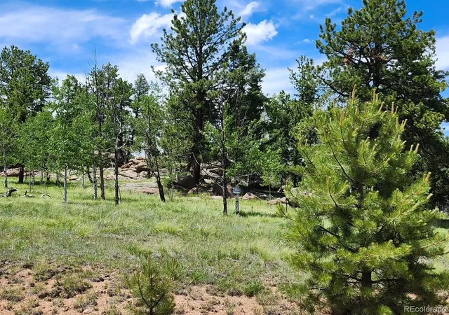 5th image of 501 Cr-403, Florissant, CO 80816 | MLS# 4150913