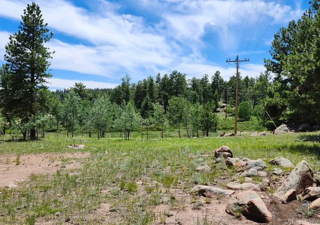 10th image of 501 Cr 403, Florissant, CO 80816 | MLS# 4150913