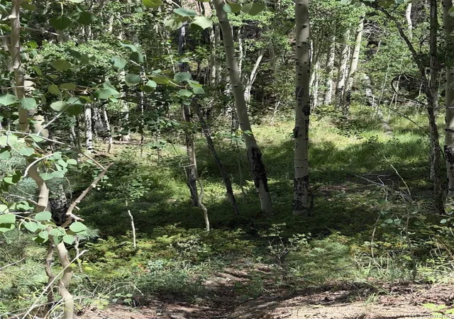 Photo 1 of Land for sale at Kawasaki, San Luis, CO 81152 | MLS# 1835296 | Listing updated on 2026-08-19