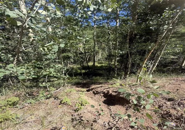 Photo 4 of Land for sale at Kawasaki, San Luis, CO 81152 | MLS# 1835296 | Listing updated on 2026-08-19