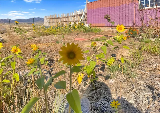 Photo 3 of Single family home for sale at 58037 Dawn Dr, Moffat, CO 81143 | MLS# 8039945 | Listing updated on 2026-10-11
