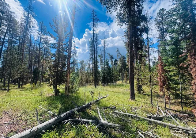 2nd image of Lot 2m Vickery Ave, Conifer, CO 80433 | MLS# 1618541