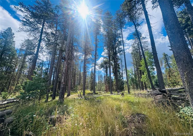 3rd image of Lot 2M Vickery Ave, Conifer, CO 80433 | MLS# 1618541