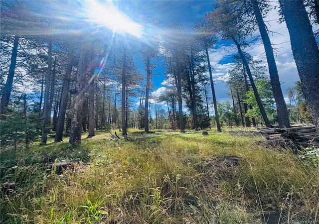 4th image of Lot 2M Vickery Ave, Conifer, CO 80433 | MLS# 1618541