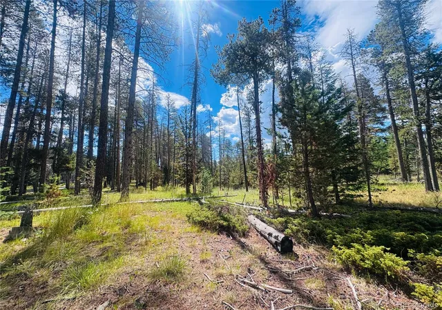 5th image of Lot 2M Vickery Ave, Conifer, CO 80433 | MLS# 1618541