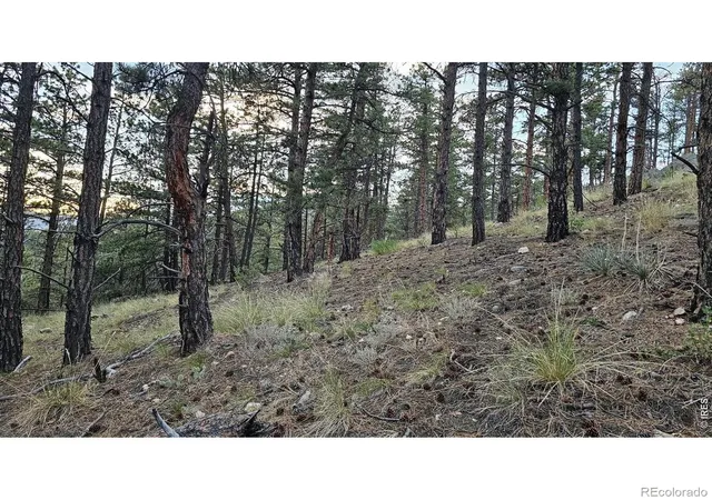 5th image of 3724 Woodchuck Dr, Loveland, CO 80538 | MLS# IR1064638