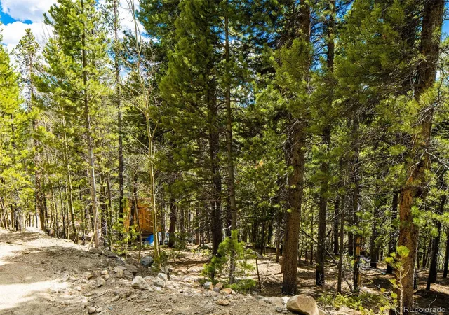 2nd image of 9 Rainbow Rd, Idaho Springs, CO 80452 | MLS# 9239834