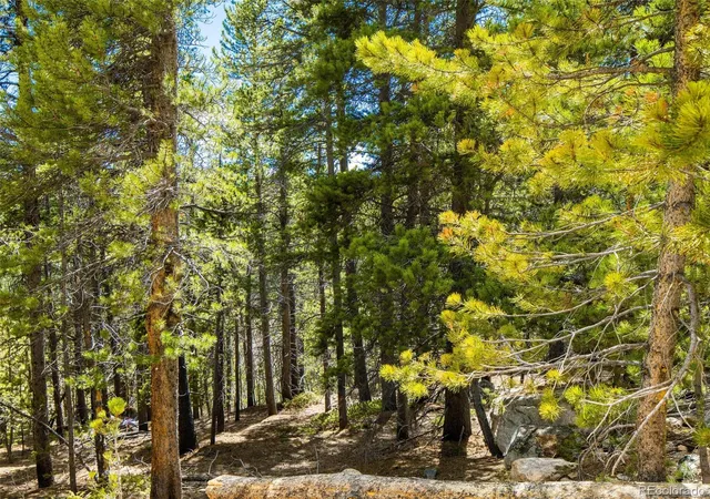 Photo 3 of Land for sale at 9 Rainbow Rd, Idaho Springs, CO 80452 | MLS# 9239834 | Listing updated on 2026-07-20
