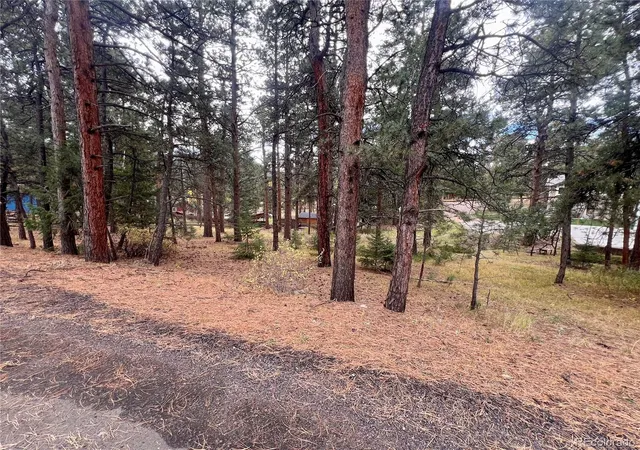 Photo 2 of Land for sale at 26698 De Berry St, Conifer, CO 80433 | MLS# 7684994 | Listing updated on 2026-09-03