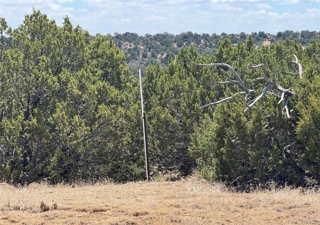 16th image of Lot F Twin Lakes Ranches, Walsenburg, CO 81089 | MLS# 3068705