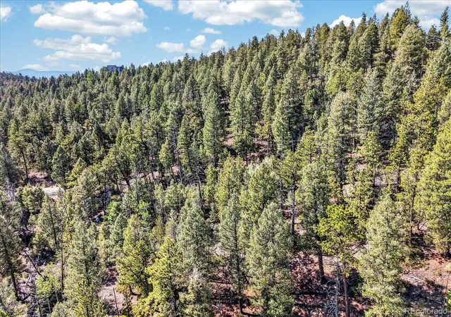 Photo 12 of Land for sale at 12907 S Cindy Ave, Pine, CO 80470 | MLS# 6515578 | Listing updated on 2026-09-01