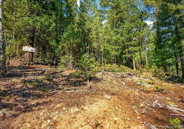 Photo 3 of Land for sale at 12907 S Cindy Ave, Pine, CO 80470 | MLS# 6515578 | Listing updated on 2026-09-01