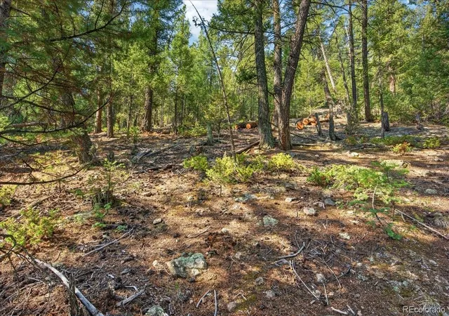 Photo 4 of Land for sale at 12907 S Cindy Ave, Pine, CO 80470 | MLS# 6515578 | Listing updated on 2026-09-01