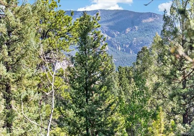 Photo 5 of Land for sale at 12907 S Cindy Ave, Pine, CO 80470 | MLS# 6515578 | Listing updated on 2026-09-01