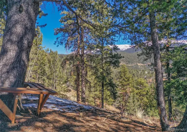 4th image of 493 Horseshoe Dr, Divide, CO 80814 | MLS# 8478176