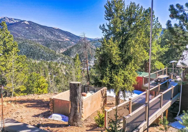 41st image of 493 Horseshoe Dr, Divide, CO 80814 | MLS# 8478176