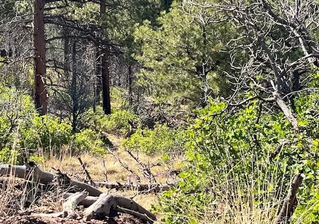 Photo 5 of Land for sale at Lot 369-370 Powers Rd, Fort Garland, CO 81133 | MLS# 8173111 | Listing updated on 2026-07-26