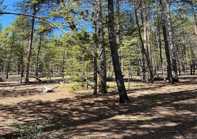 Photo 3 of Sale Pending at 163 Co Rd 665, Fairplay, CO 80440 | MLS# 4670975 | Listing updated on 2026-08-11