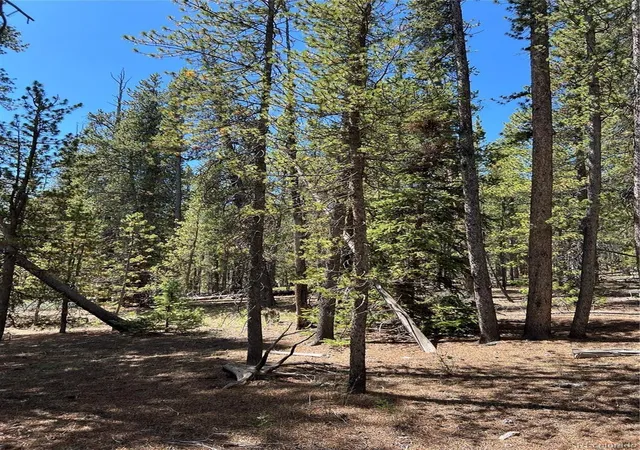 Photo 4 of Sale Pending at 163 Co Rd 665, Fairplay, CO 80440 | MLS# 4670975 | Listing updated on 2026-08-11