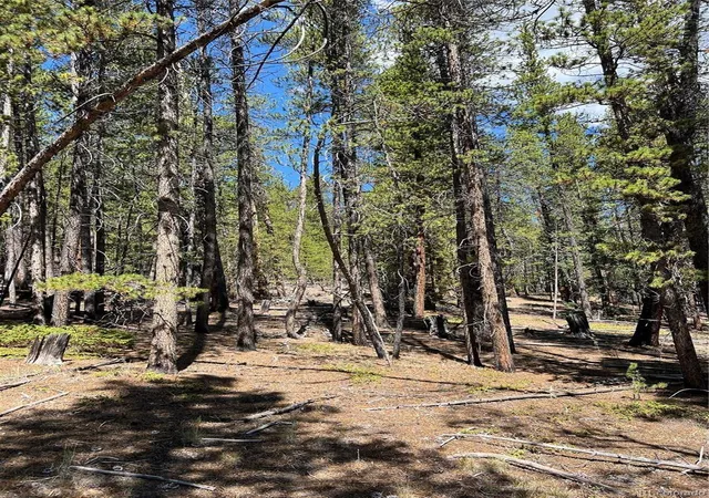 Photo 5 of Sale Pending at 163 Co Rd 665, Fairplay, CO 80440 | MLS# 4670975 | Listing updated on 2026-08-11