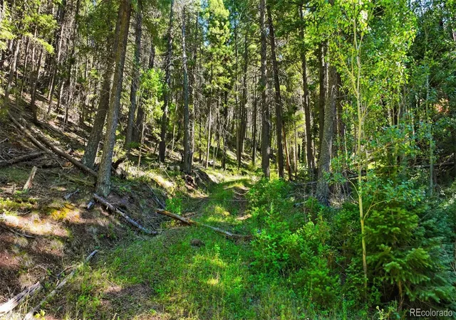 1st image of 13446 S Firedog Wy, Larkspur, CO 80118 | MLS# 6001284