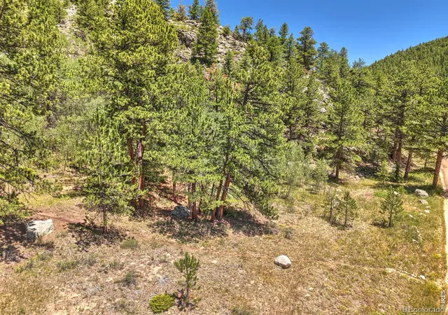 Photo 2 of Land for sale at 0 Cold Springs Rd, Nederland, CO 80466 | MLS# IR1064689 | Listing updated on 2026-07-21
