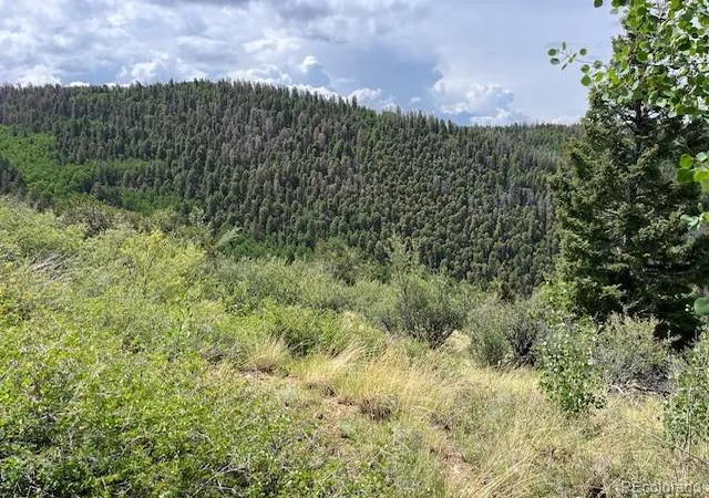 Photo 2 of Land for sale at Lot 6076 Starkweather Rd, San Luis, CO 81152 | MLS# 4945363 | Listing updated on 2026-07-21