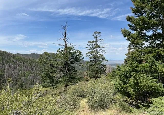 Photo 4 of Land for sale at Lot 6076 Starkweather Rd, San Luis, CO 81152 | MLS# 4945363 | Listing updated on 2026-07-21