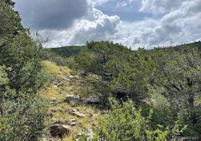 Photo 5 of Land for sale at Lot 6076 Starkweather Rd, San Luis, CO 81152 | MLS# 4945363 | Listing updated on 2026-07-21