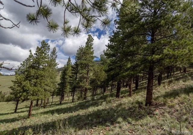 Photo 2 of Land for sale at 645 Cliff View Dr, Creede, CO 81130 | MLS# 5026937 | Listing updated on 2026-07-21