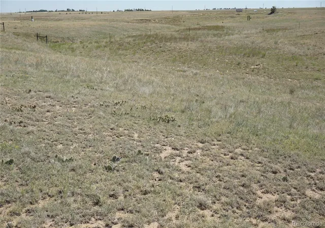 2nd image of 143 N Holtwood Rd, Rush, CO 80833 | MLS# 6077476
