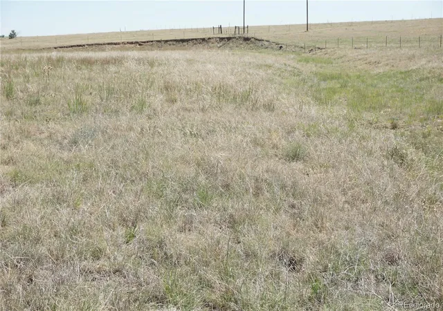 4th image of 143 N Holtwood Rd, Rush, CO 80833 | MLS# 6077476