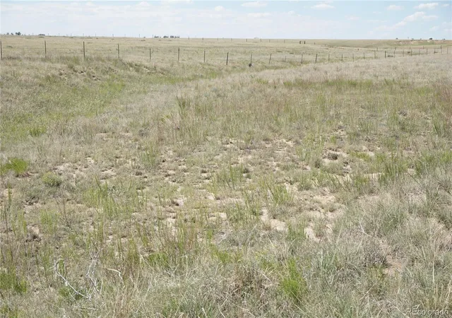 5th image of 143 N Holtwood Rd, Rush, CO 80833 | MLS# 6077476