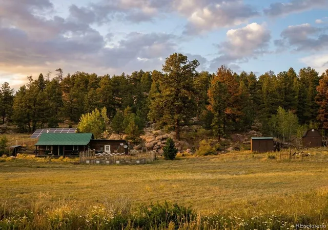 Single family home for sale at 185 Canyon Dr, Florissant, CO 80816 | MLS# 6737100