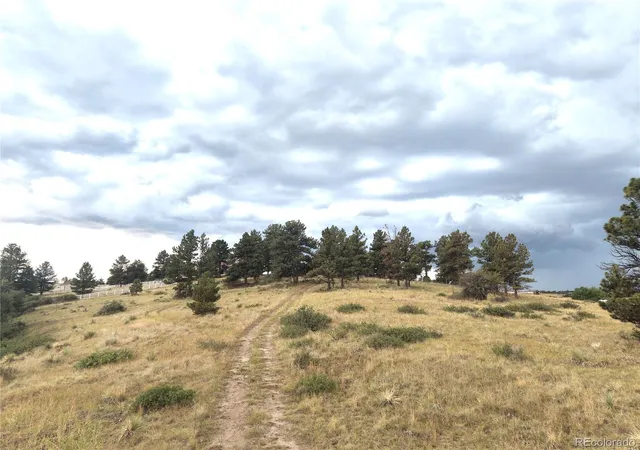 3rd image of 46341 Needleleaf Ln, Parker, CO 80138 | MLS# 6769691