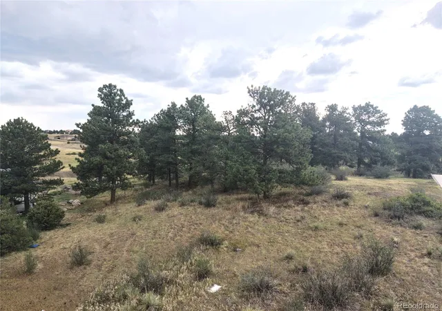 5th image of 46341 Needleleaf Ln, Parker, CO 80138 | MLS# 6769691