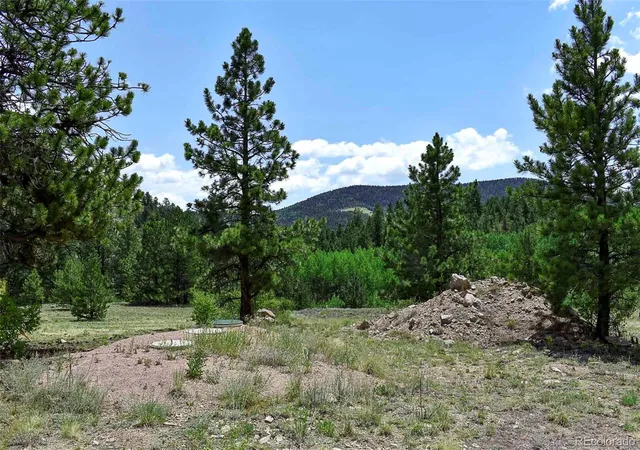 Photo 2 of Land for sale at 376 Copeland Rd, Guffey, CO 80820 | MLS# 2167010 | Listing updated on 2026-09-23
