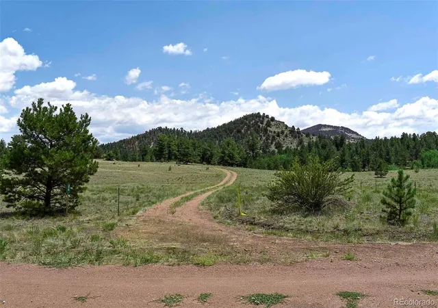 Photo 3 of Land for sale at 376 Copeland Rd, Guffey, CO 80820 | MLS# 2167010 | Listing updated on 2026-09-23