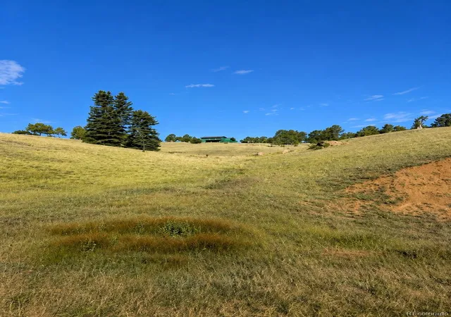 14th image of 175 Twin Lakes Dr, Divide, CO 80814 | MLS# 9192586